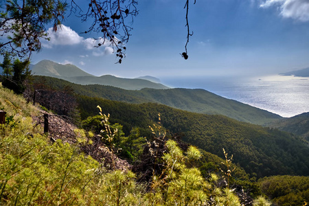 穿过青山的海景