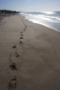 太平洋沙岸上的脚印
