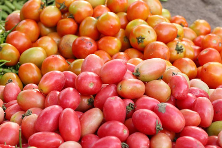 市场上的西红柿图片