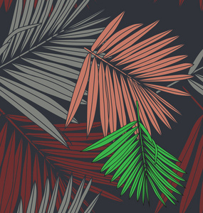 手绘插图与热带植物的叶子。