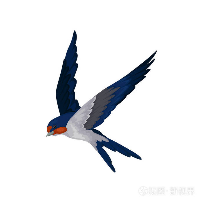 小燕子曲谱_女声三重唱燕子曲谱_双食记燕子和顾小繁