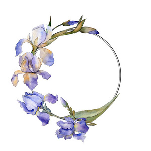 紫色虹膜花卉植物花。水彩背景插图集。框架边框装饰正方形