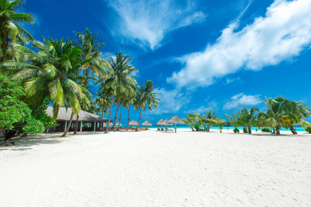 热带马尔代夫群岛，白色沙滩和海水