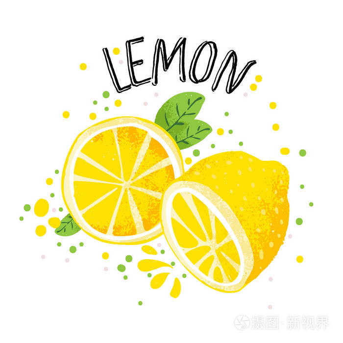 向量手画柠檬例证.一半和一片柠檬与果汁飞溅隔离在白色的背景.