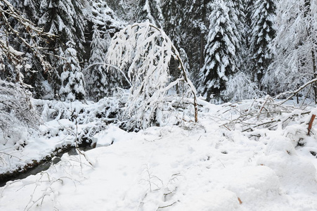 瑞士捷克有雪的冬季景观