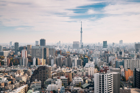 日本的东京城市景观和天空树