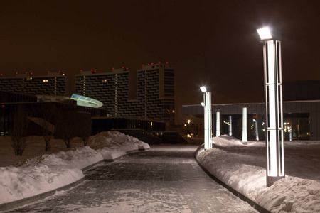 冬天的城市公园在晚上的微光下。 铺满雪的小径。 寒冷和下雪的天气散步。