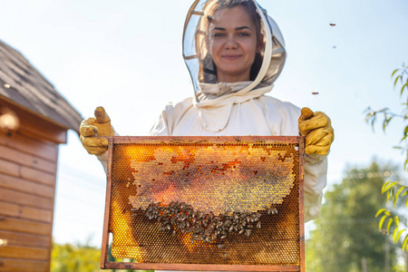 年轻的女养蜂人拿着带有蜂窝的木框。 收集蜂蜜。 养蜂概念。