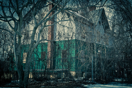 被遗弃的家，在光秃秃的树枝上