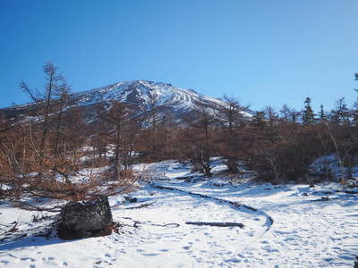 mt. 富士日本第五站雪景。