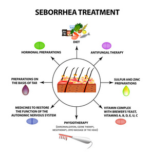 脂溢症的治疗。 脂溢性皮肤和头发。 头皮屑脂溢性皮炎。 秃发生长秃发。 解剖结构。 信息图表。 孤立背景的矢量图