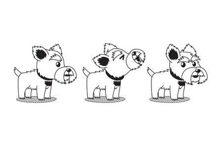 矢量卡通人物约克郡猎犬姿势设计。