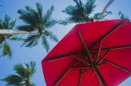 美丽的热带海滩与棕榈树和雨伞