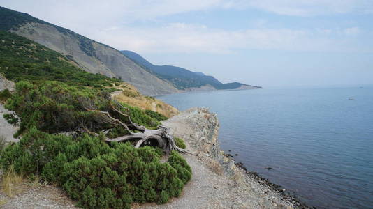 黑海杜松悬崖悬崖海岸的天空云