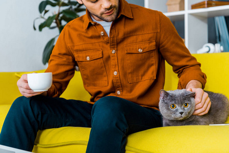 一个英俊的男人抱着一杯咖啡坐在沙发上和猫坐在一起
