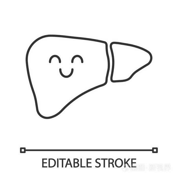 细线插图 健康的消化腺 肝脏健康 轮廓符号 矢量孤立轮廓绘制.