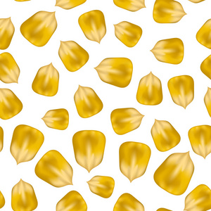 白色背景下分离的成熟黄色玉米种子无缝图案