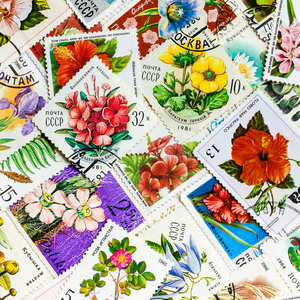 苏联印制的邮票上有花
