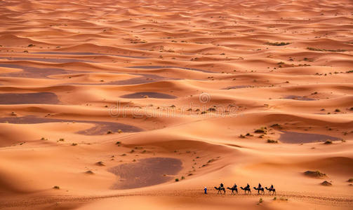 撒哈拉沙漠中的骆驼车队