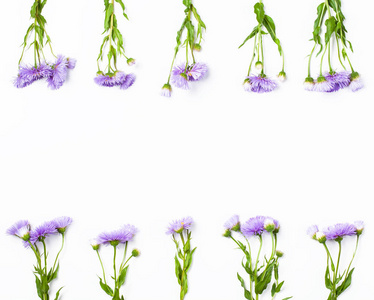 白色背景下由紫罗兰花制成的边框。 顶部视图与复制空间。 平躺着。