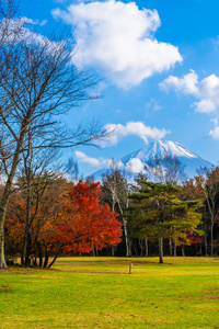 日本秋季环湖枫叶树的富士山美景