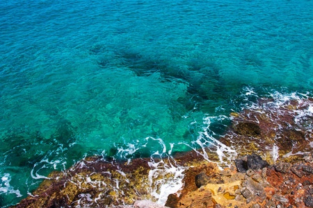 海岸鸟图