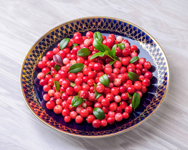 成熟的新鲜牛莓Lingonberrypartridgeberry Foxberry，放在白色老式桌子上的蓝色盘子里。 上面的
