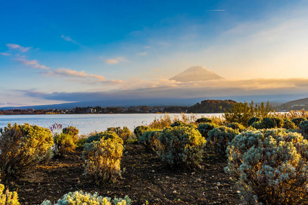日本大林Yamanashi日落时秋季湖泊周围有枫叶树的富士山美景