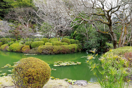 池塘和花园有绿色的水和树的倒影，位于乌米吉戈库或海洋地狱，有一个蓝色的热水池塘，日本北田