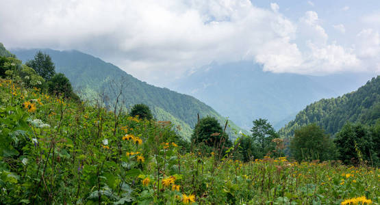 在多云的天空中看到被青山包围的山谷。 高加索俄罗斯