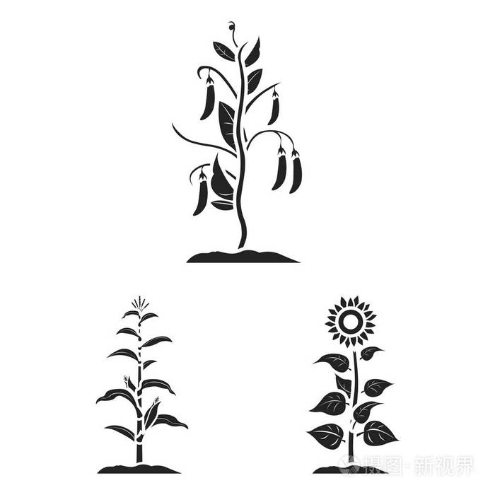 植物和大豆图标的矢量设计.收集网络的植物和工艺股票