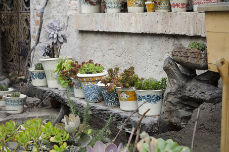 花园里的旧石凳上装饰花瓶和花盆里的花草