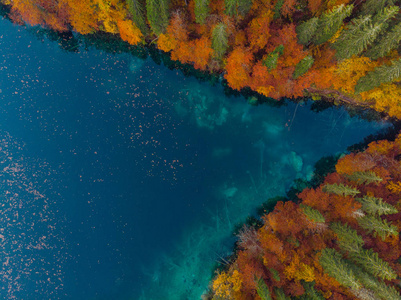 天然形状的湖泊边缘与Autum森林。 空中无人机视野。