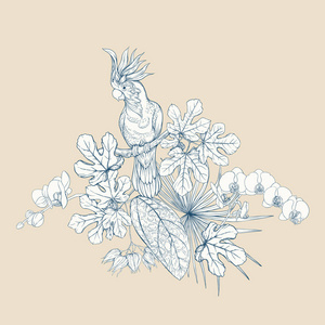 热带植物的组成，棕榈叶怪物和白色兰花与鹦鹉的植物学风格。 图形绘图雕刻风格。 矢量图。 蓝色和米色。