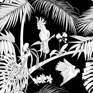 无缝图案背景。 有热带植物和花，有白色的兰花和热带鸟类。 黑白图形。 矢量插图