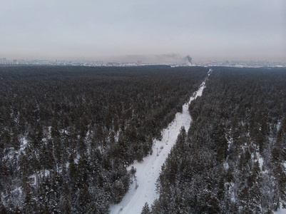 冬季森林的鸟瞰图