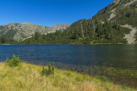 保加利亚Vasilashko湖皮林山清澈水域景观