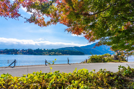 秋季环湖枫叶树的富士山美景