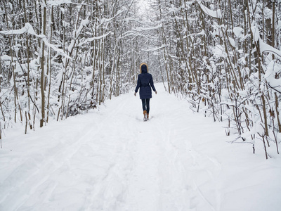 雪林中一个女人的剪影。 在冬季公园散步。