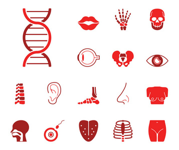  Bones  Iconset Icons