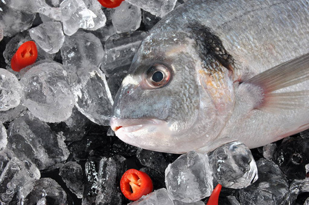 冰块上的新鲜鱼。 在冰块和黑色背景上新鲜的多拉多或吉特黑牛角