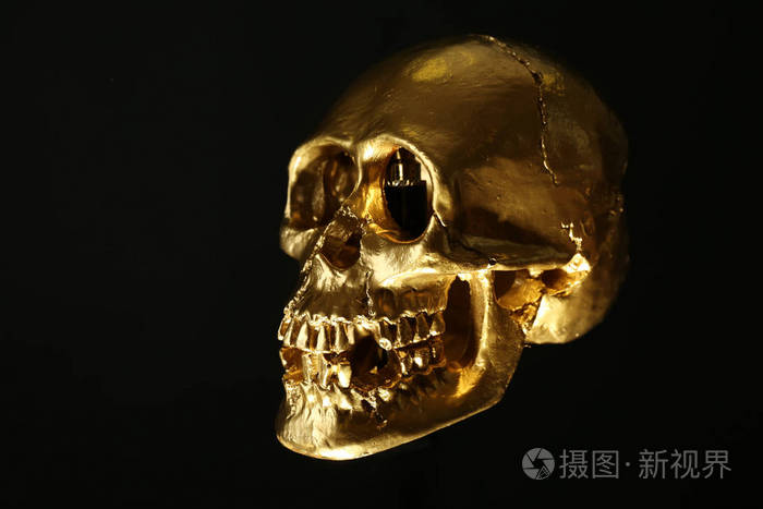 黑暗背景上的金色人类头骨