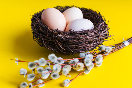 鸡卵在一个有柳树枝的巢里。 快乐复活节的概念。