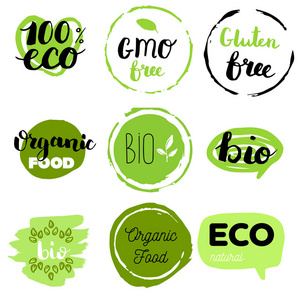 健康食品图标标签。 有机标签。 天然产品元素。 素食餐厅菜单的标志。 光栅插图。 低脂邮票。 生态产品。