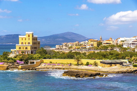 地中海海岸在阿尔赫罗市撒丁岛意大利。 春天的花草树木在前景，色彩鲜艳的建筑物在阿尔齐赫老市中心的背景