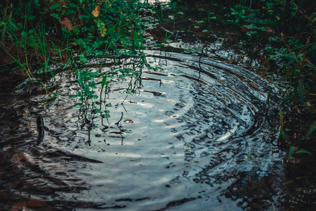 雨滴在水坑里荡漾