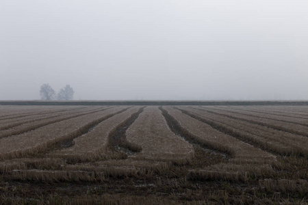 秋天从下面采来的田野，有雾，能见度低