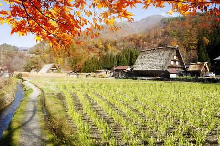 日本白川和冈山的历史村落