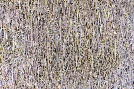 一堆稻草背景