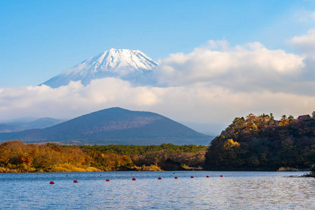 日本大林秋季湖泊四周枫叶树的富士山美景